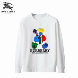 Picture of Burberry Sweatshirts _SKUBurberryS-XXLB6724898